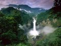 Индейцы Эквадора предлагают провести референдум о возможности нефтедобычи в Национальном парке Ясуни